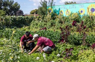 Augsburg’s largest class kicks off academic year with volunteering